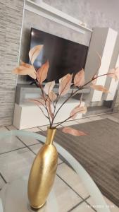 TV a/nebo společenská místnost v ubytování Donna Rosa