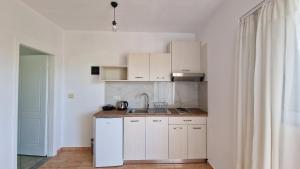 Kuhinja ili čajna kuhinja u objektu Horizon view rooms