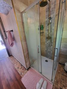 a bathroom with a shower with a pink rug at Atelier du chateau in Feings