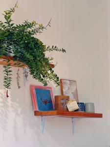 une étagère sur un mur avec des livres et une plante dans l'établissement Hiên Stay, à Xuan An