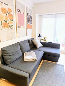 a living room with a gray couch and a rug at Apartamento 2 habitaciones cerca del puerto de Pasajes in Donostia-San Sebastián