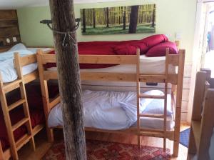 Galeriebild der Unterkunft Eden's Yard Backpackers in St Austell