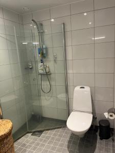 a bathroom with a toilet and a glass shower at Central Studio Apartment with Terrace in Lund +6 photos