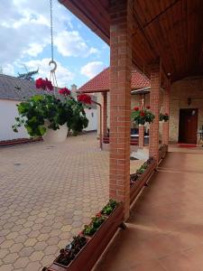 Φωτογραφία από το άλμπουμ του Euro Panzio στο Ντέμπρετσεν