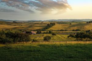 Příroda nedaleko apartmánu