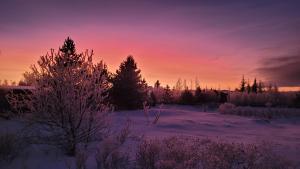 冬天的Thingvellir Lake Cottage