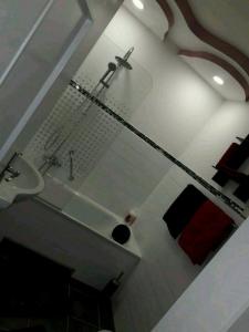 a bathroom with a sink in a room at Apartment Bella Italia in Cologne
