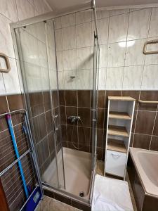 ヴィルにあるRoyal Diana Apartmentsのシャワー(洗面台の隣にガラスドア付) +57枚の写真