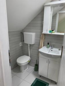 a small bathroom with a toilet and a sink at Petlov konak in Mala Remeta +34 photos