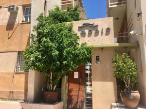two trees in pots in front of a building at Monoambiente en complejo privado con Piscina en microcentro - Excelente Ubicacion in San Juan