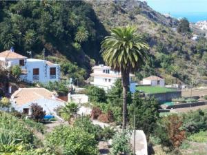 a palm tree in front of a house on a hill at Live Icod the furnia 2 in Icod de los Vinos +16 photos