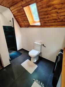 a bathroom with a toilet and a shower with a wooden ceiling at Cabana A Brezoi in Brezoi +25 photos