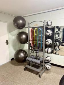 a gym room with a rack of balls and balls at Laurel Point Resort in Gatlinburg