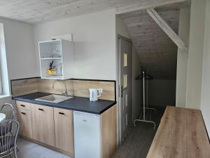 Köök või kööginurk majutusasutuses Pod Cisem