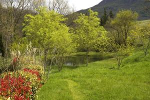 a pond in a field with trees and a hill at Bus vintage pour retraite en solo à Bugarach in Bugarach