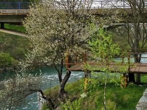 Φυσικό τοπίο κοντά σε αυτό το καταφύγιο