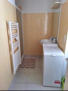 a small bathroom with a sink and a washing machine at Appartement 2-4 pers in Souillac