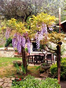 A garden outside Villino San Silvestro