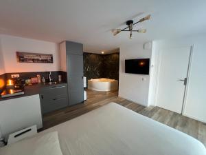 a room with a bathroom with a tub and a television at Le Local DesTiercelins in Nancy