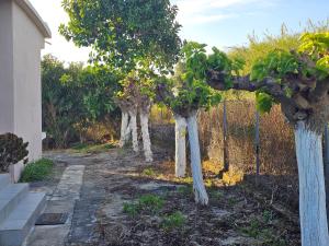 Φωτογραφία από το άλμπουμ του Vista Koroni - Sea View Apartment Over Olive Grove and Mountains στην Κορώνη
