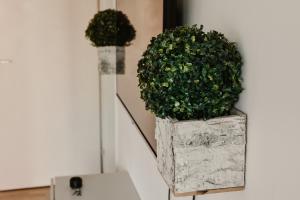 Galería fotográfica de Apartman ELEVEN en Kraljevo