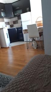 Kuchyň nebo kuchyňský kout v ubytování Room for Rent