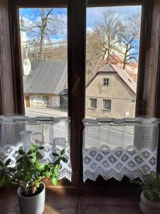 Balkón nebo terasa v ubytování Na Kopečku