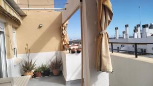 a balcony with potted plants and an open door at Atico con terraza en San Fernando (Cádiz) in San Fernando