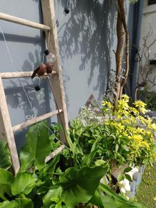 Ogród w obiekcie Le Cocon des Hortillonnages d'Amiens