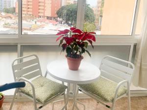 une table et deux chaises avec une plante en pot sur une fenêtre dans l'établissement Corinto, à Benalmádena 2 autres photos