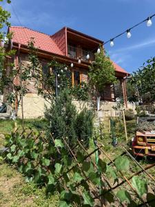 Φωτογραφία από το άλμπουμ του Sunshine House στο Κουτάισι