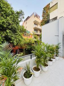 Κήπος έξω από το 2bhk Velvet retreat