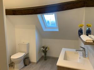 CormerayにあるLe Clos de la Fouasserieのトイレ、洗面台、窓のあるバスルーム