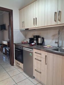 Kuchyň nebo kuchyňský kout v ubytování Corfu Studios Stavroula - San George Apartments
