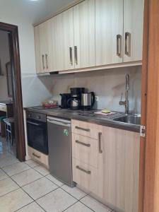 Kuchyň nebo kuchyňský kout v ubytování Corfu Studios Stavroula - San George Apartments