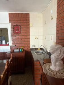 a kitchen with a sink and a red brick wall at La Magallanes in Santiago del Estero +3 photos