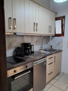 Kuchyň nebo kuchyňský kout v ubytování Corfu Studios Stavroula - San George Apartments