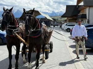a man pulling a horse drawn carriage down a street at Askana in Białka Tatrzańska