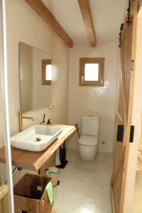 a bathroom with a sink and a toilet at Bella Vista Suit Casas Lacambra in Tolosa