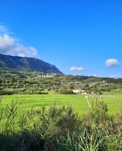 a green field with a mountain in the background at The Getaway in Sálakos