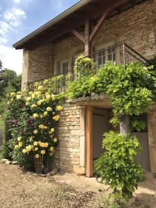 Jardin de l'établissement Gîtes L'Art d'une Pause