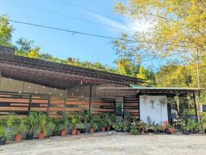 a building with potted plants in front of it at Bonjorge Homestay- Helen, Larena,Siquijor in Larena