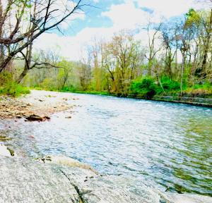 Природа в окрестностях отеля +17 фотографий