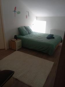 a bedroom with a green bed and a window at La tanière de Lise in Puyravault