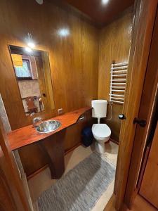 a small bathroom with a toilet and a sink at Dom pod Cuplikiem in Zawoja +15 photos