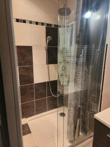 a shower with a glass door in a bathroom at Appartement Passementier centre du bourg in La Séauve-sur-Semène