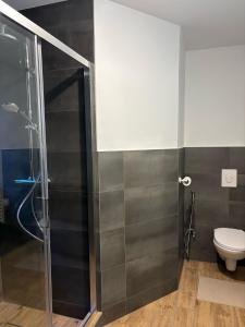 a bathroom with a shower and a toilet at Au bord de la kirneck in Barr +27 photos