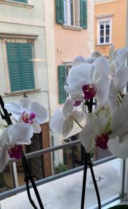 Fotografie z fotogalerie ubytování Rebassotto v destinaci Rovereto