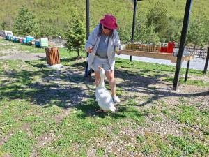 Ospiti di Ferma e bleteve Stomici
