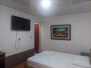 TV a/nebo společenská místnost v ubytování Hotel Casa de Papá